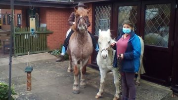 Beautiful horses visit the Nottingham care home